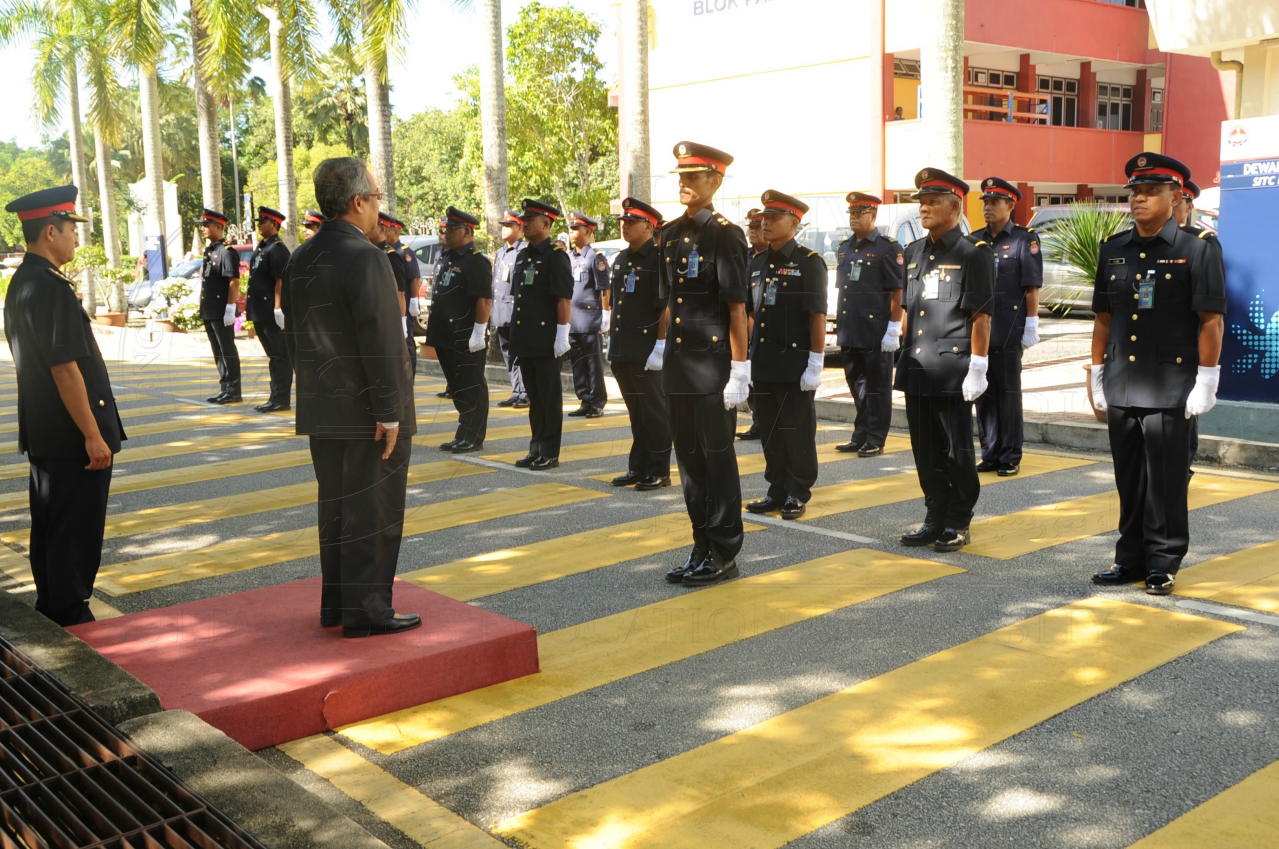 PRO 16 6 AMANAT VCHAS 8568